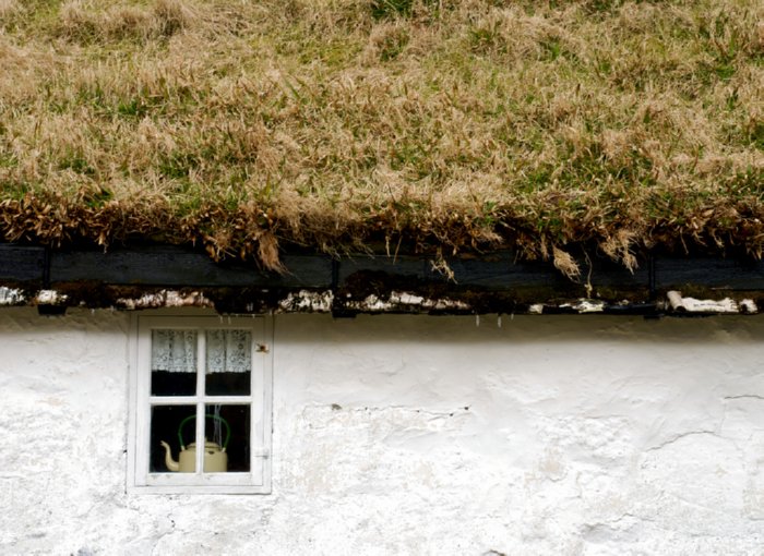 green roofed house